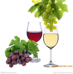 上海保稅區法國葡萄酒專業進口報關代理服務全解析