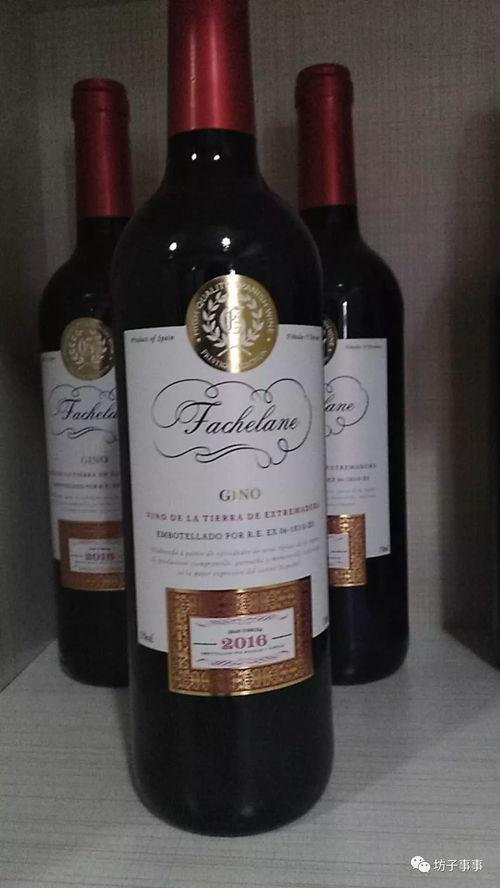 正宗法國紅酒卡蒂娜正式登陸坊子，坊子人盡享法蘭西醇香